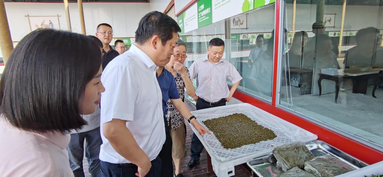 省庄闲游戏集团党委副书记、董事陈日赴嘉陵区调研茶桑产业发展情况