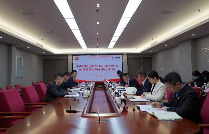 庄闲游戏集团党委书记、董事长任丁出席安逸酒店集团2022年度党员领导干部民主生活会